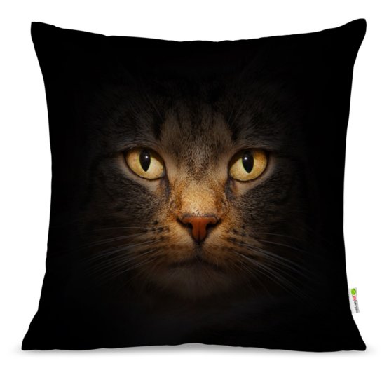 Pillow CAT 14