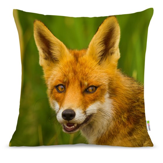 Pillow FOX 02