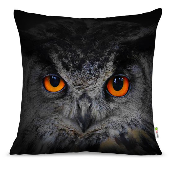 Pillow OWL 02