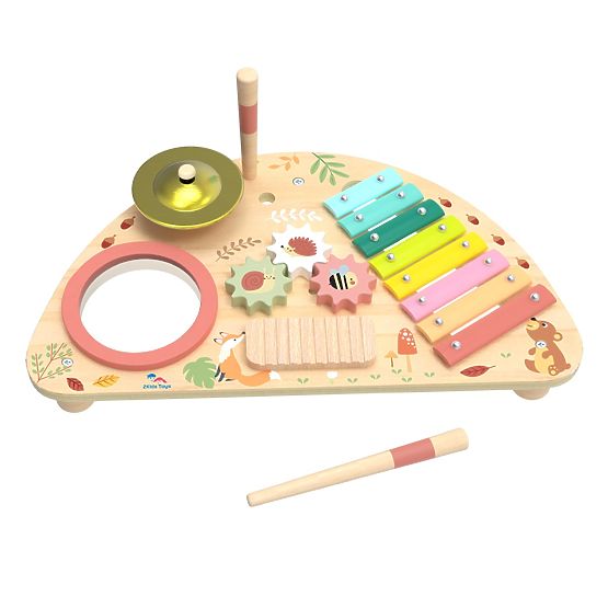 2Kids Toys Multifunctional Musical Board