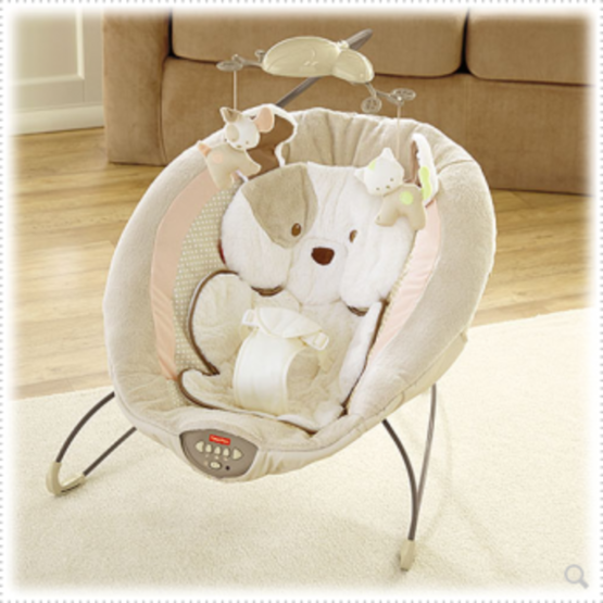 Fisher Price Puppy Infant Seat