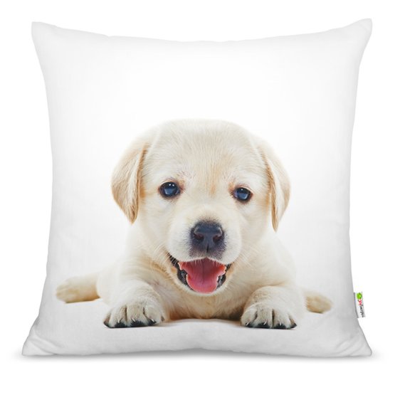 Pillow puppy 02