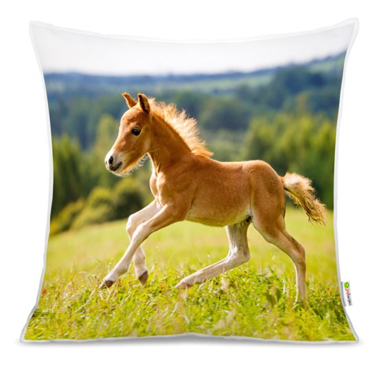 Pillow HORSES 03