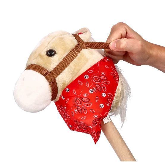 Achał Hobby Horse on a Stick