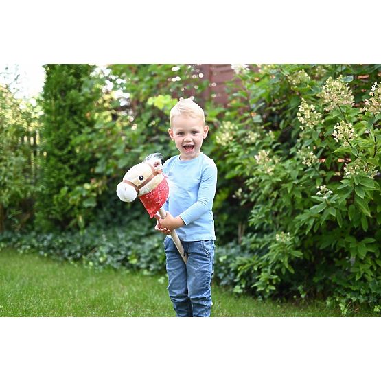 Achał Hobby Horse on a Stick