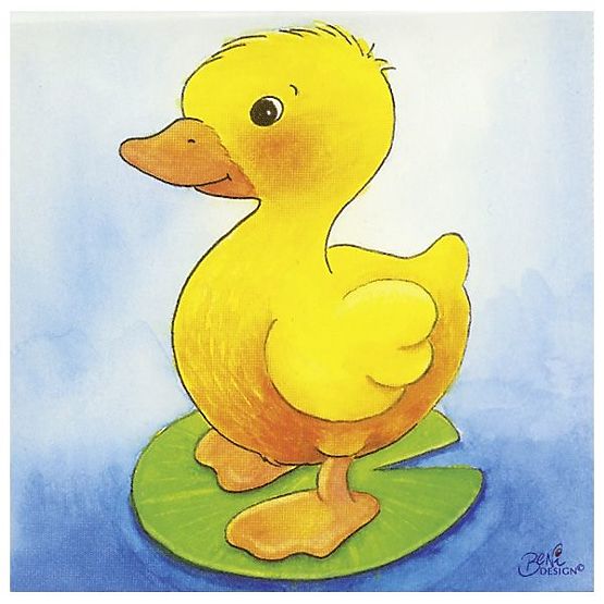Animal Picture Blocks