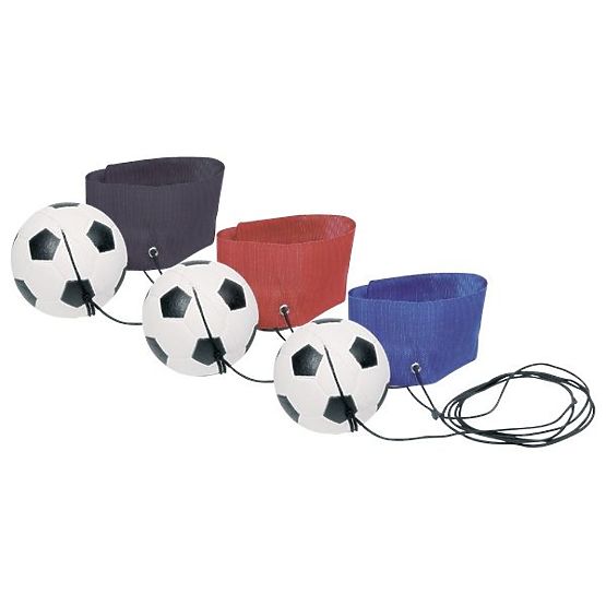 Ball on an Elastic String