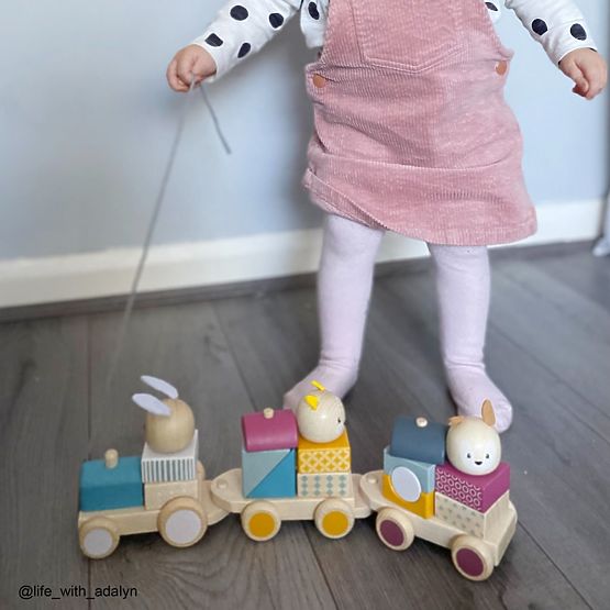 Bigjigs Baby Wooden Train with Animals