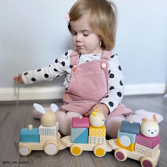 Bigjigs Baby Wooden Train with Animals