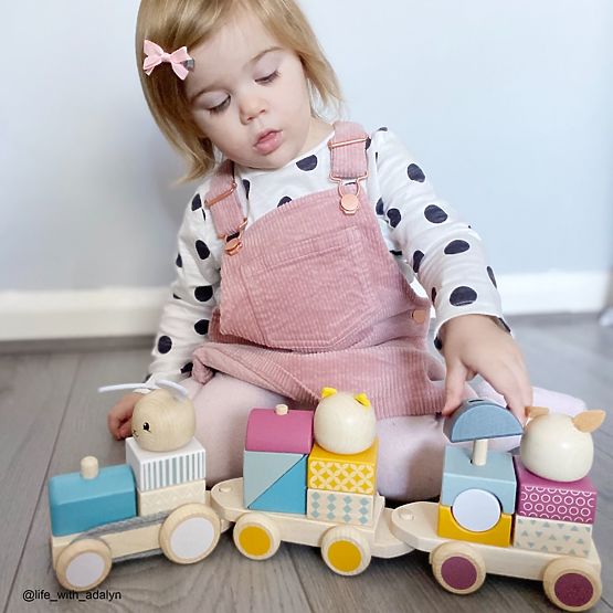 Bigjigs Baby Wooden Train with Animals