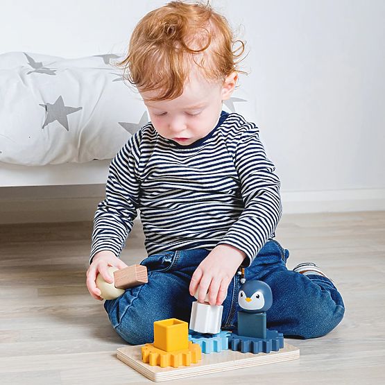 Bigjigs Toys Arctic Activity Board