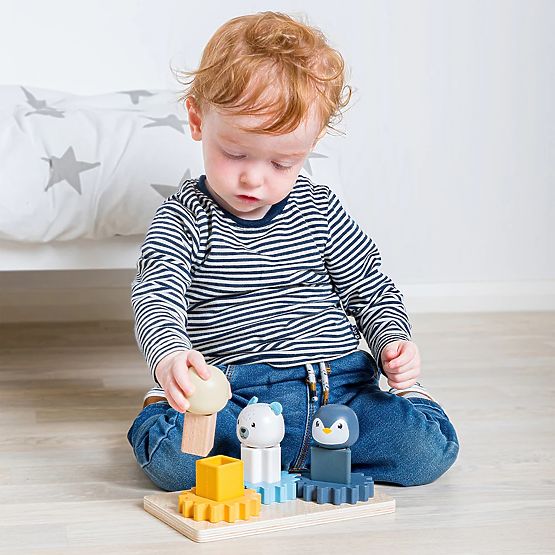 Bigjigs Toys Arctic Activity Board