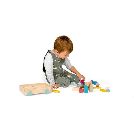 Bigjigs Toys Cart with Wooden Blocks