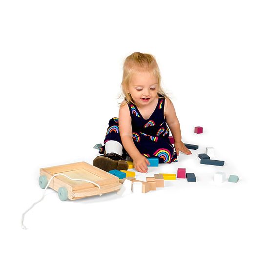 Bigjigs Toys Cart with Wooden Blocks