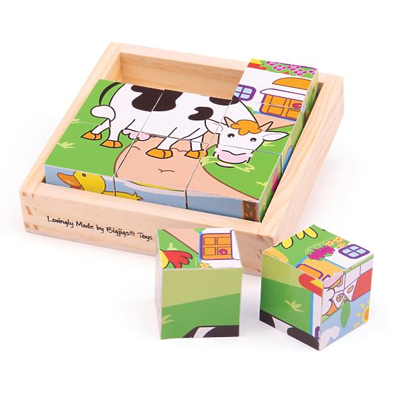 Bigjigs Toys Picture Blocks Cubes Animals 9 Blocks