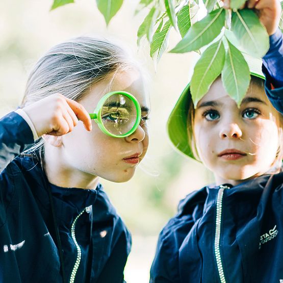 Bigjigs Toys Kit for catching insects