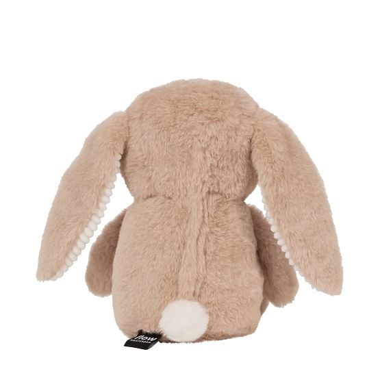 Brown bunny with a FLOW heartbeat