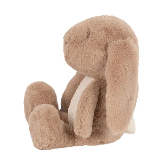 Brown bunny with a FLOW heartbeat