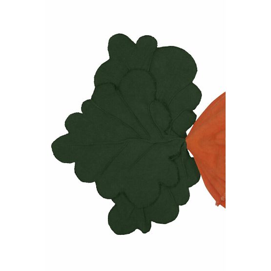 Carrot bean bag - Lorena Canals