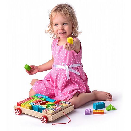 Cart with Blocks 35 pcs