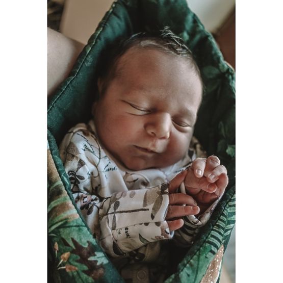 Children wrap The life in woods