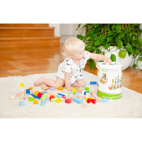 Ecotoys wooden blocks - 100 pcs