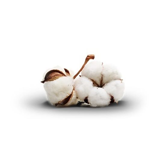 Ecotton blanket - 160x200 cm