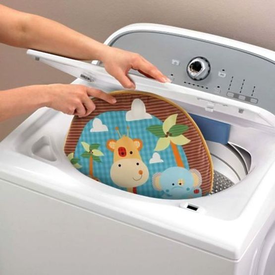 Fisher Price 2-in-1 Baby Rocker