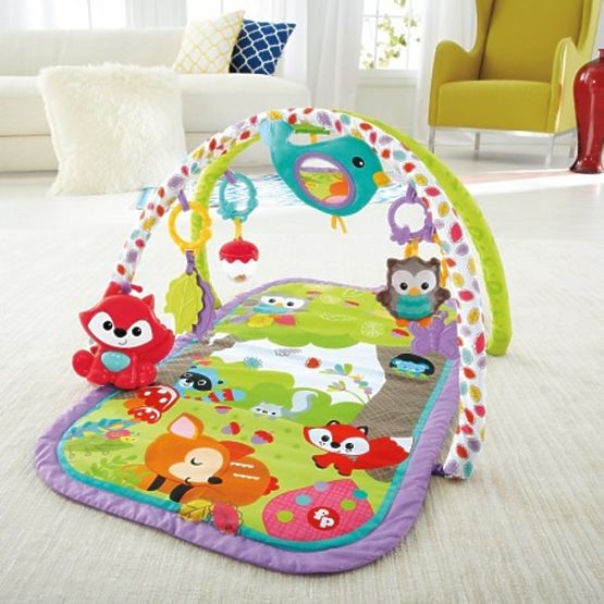 Fisher Price Activity Gym with Toy Rack