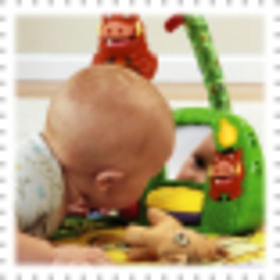 Fisher Price Lion King Activity Play Gym