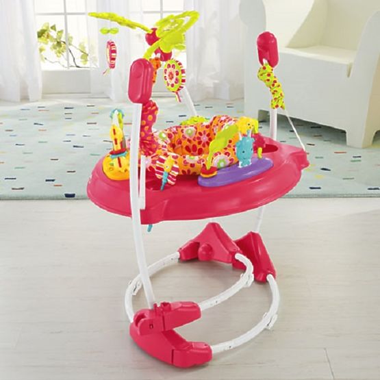 Fisher Price Princess Jumperoo