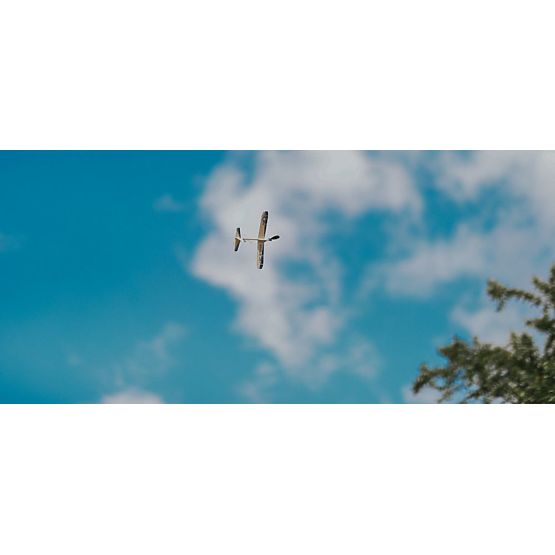 Foldable Airplane Eagle Jet