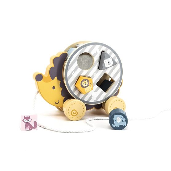 Hedgehog with Pull-Along Sorter Polar B