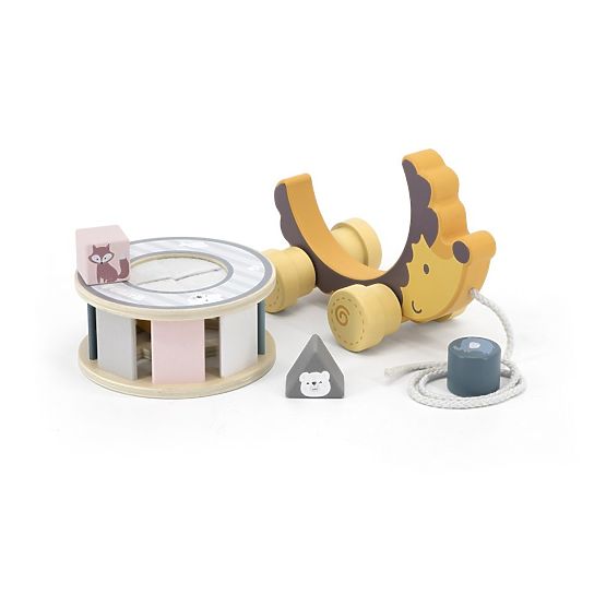 Hedgehog with Pull-Along Sorter Polar B