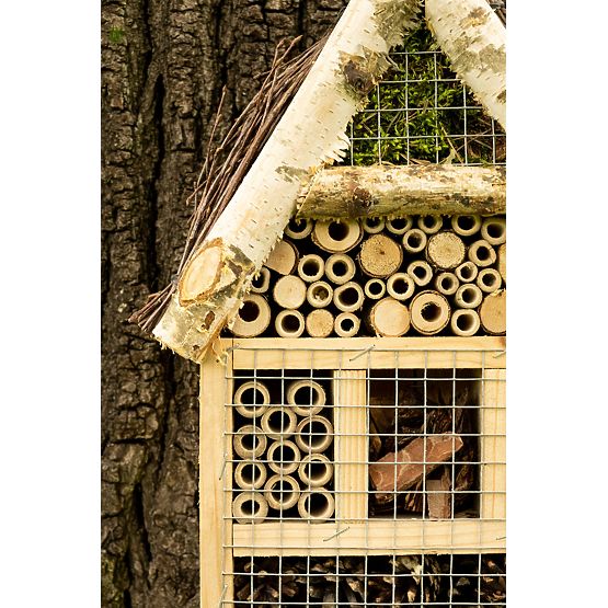 Fly Insect House