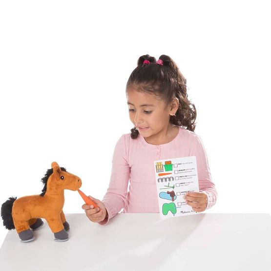 Horse care - play set