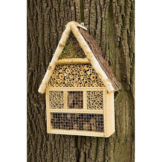 Insect house - hotel XXL