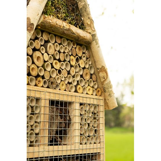 Insect house - hotel XXL