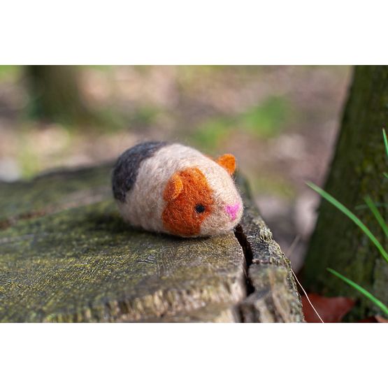 Kit for felting - Guinea pigs