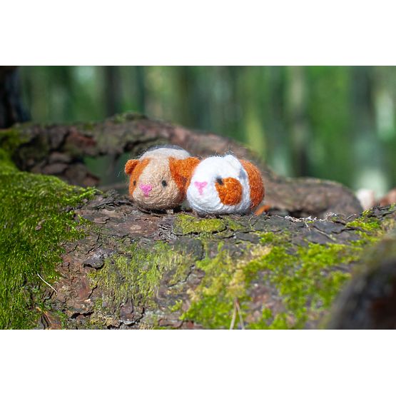 Kit for felting - Guinea pigs