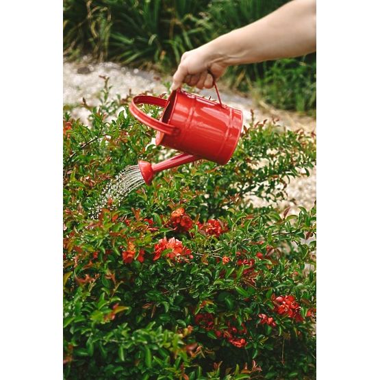 Watering can red