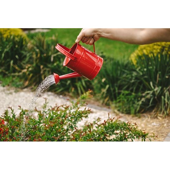 Watering can red