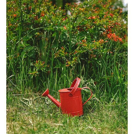 Watering can red