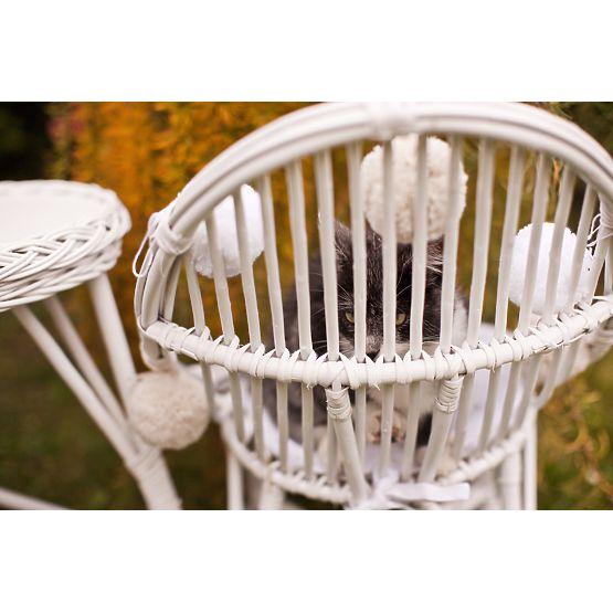 LILU Wicker chair Tear