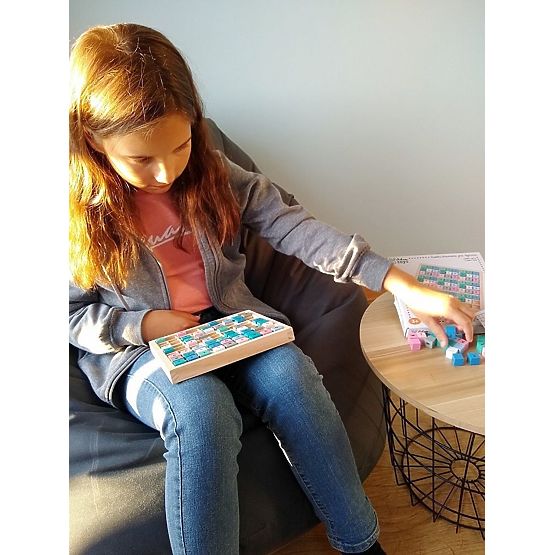 Logical Game Sudoku