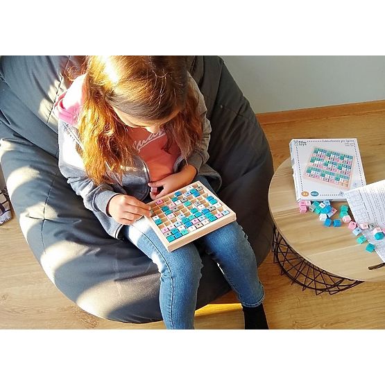 Logical Game Sudoku