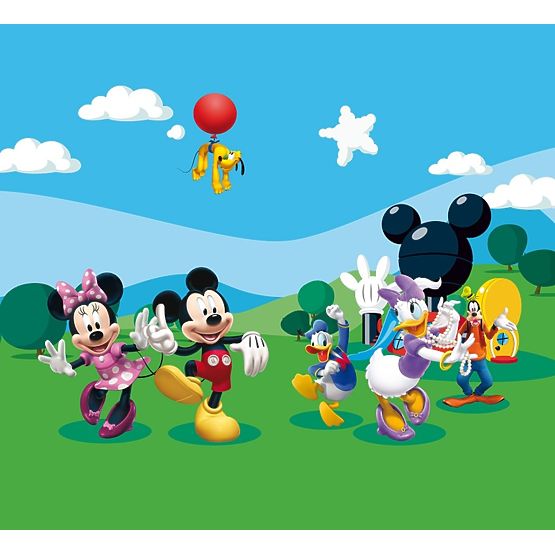 Mickey Mouse Children's Photo Curtain