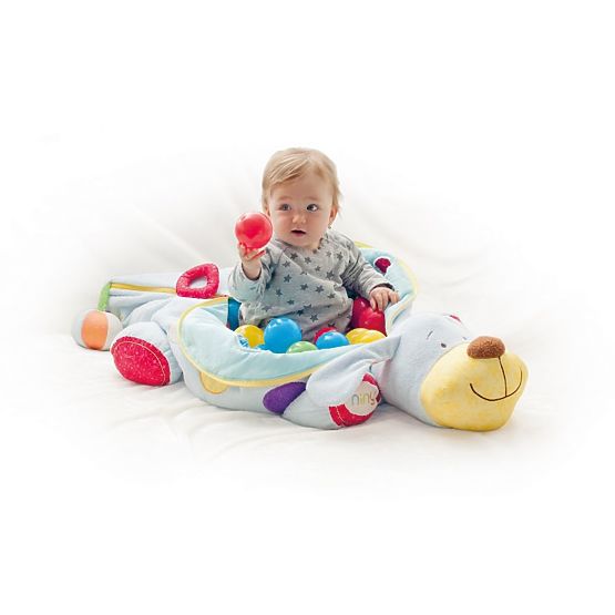 Multifunctional Dog with 60 Balls - Niny