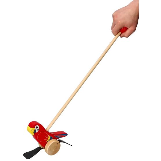 Nature Planet Colorful Push Parrot