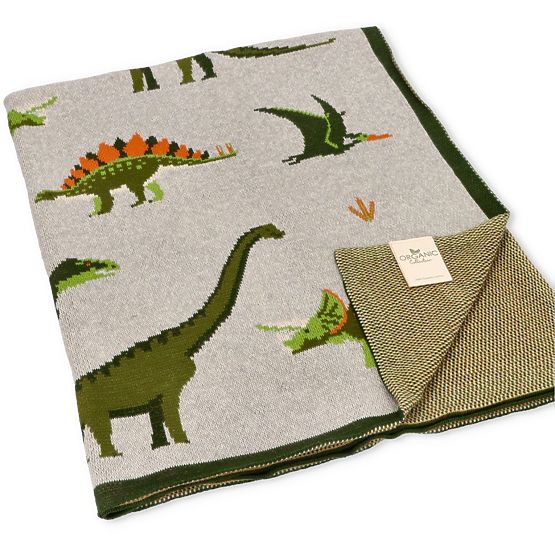 Nature Planet Organic Cotton Blanket Dinosaurs